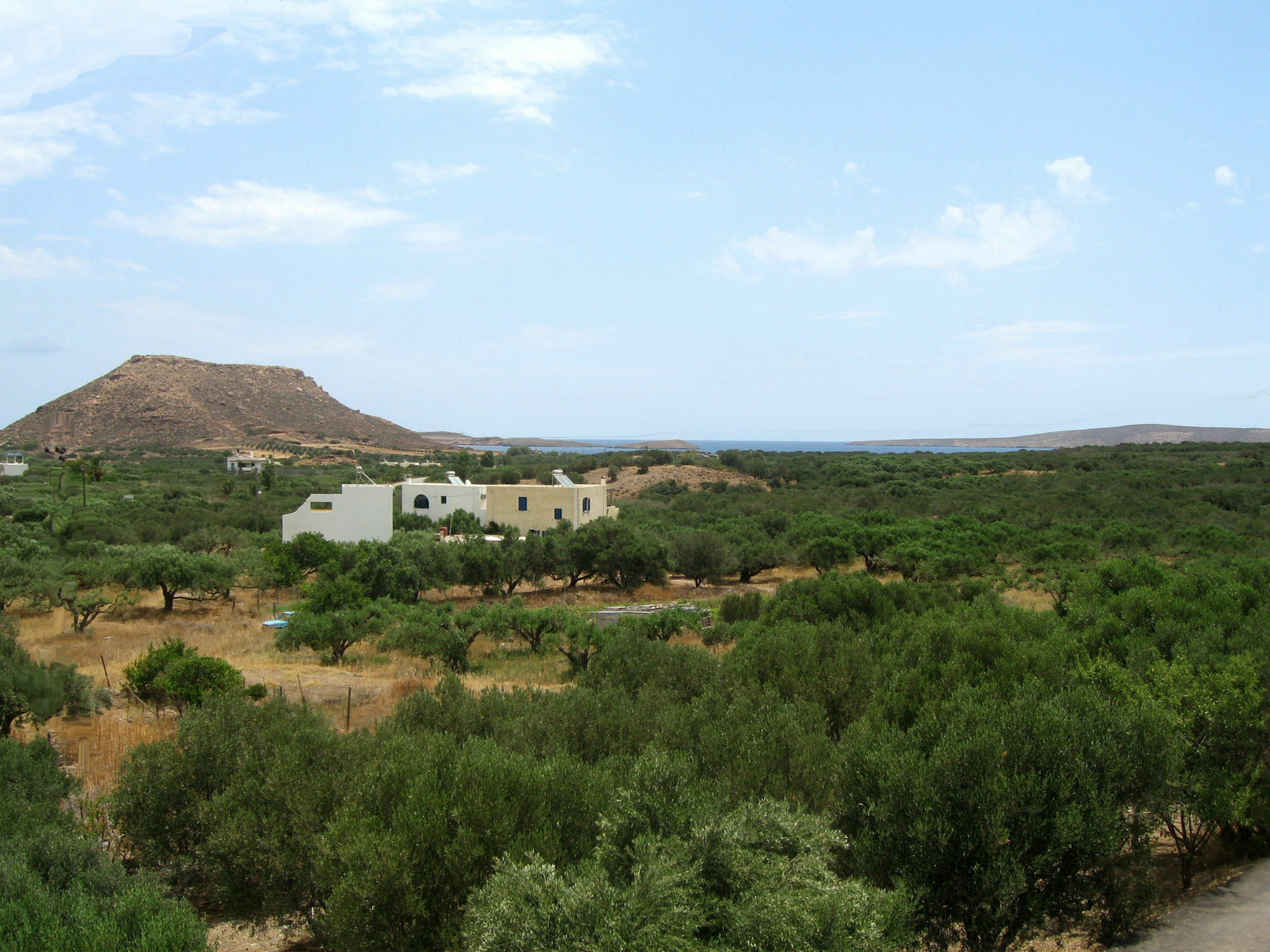 Flamingo * Παλαίκαστρο